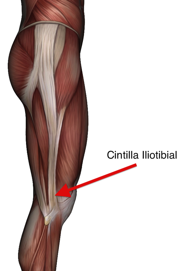 Dolor De Rodilla Rodilla Del Corredor O Sindrome De La Cintilla