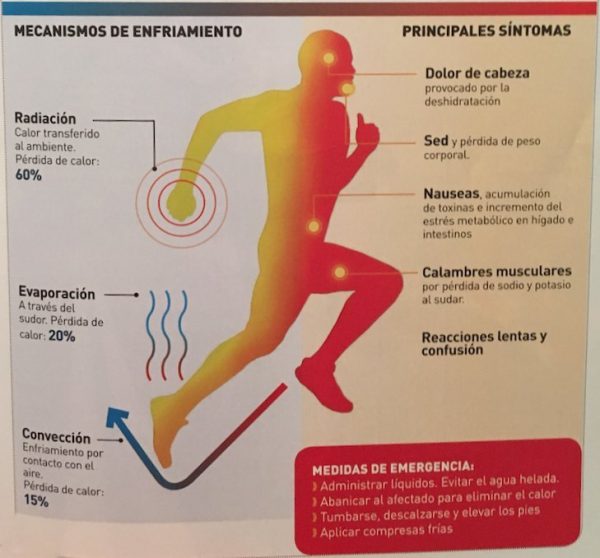 La-importancia-de-la-termorregulacion-y-el-sudor-en-el-corredor-2