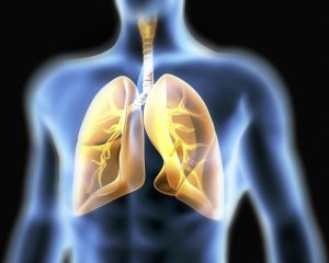 Adaptaciones respiratorias al ejercicio físico